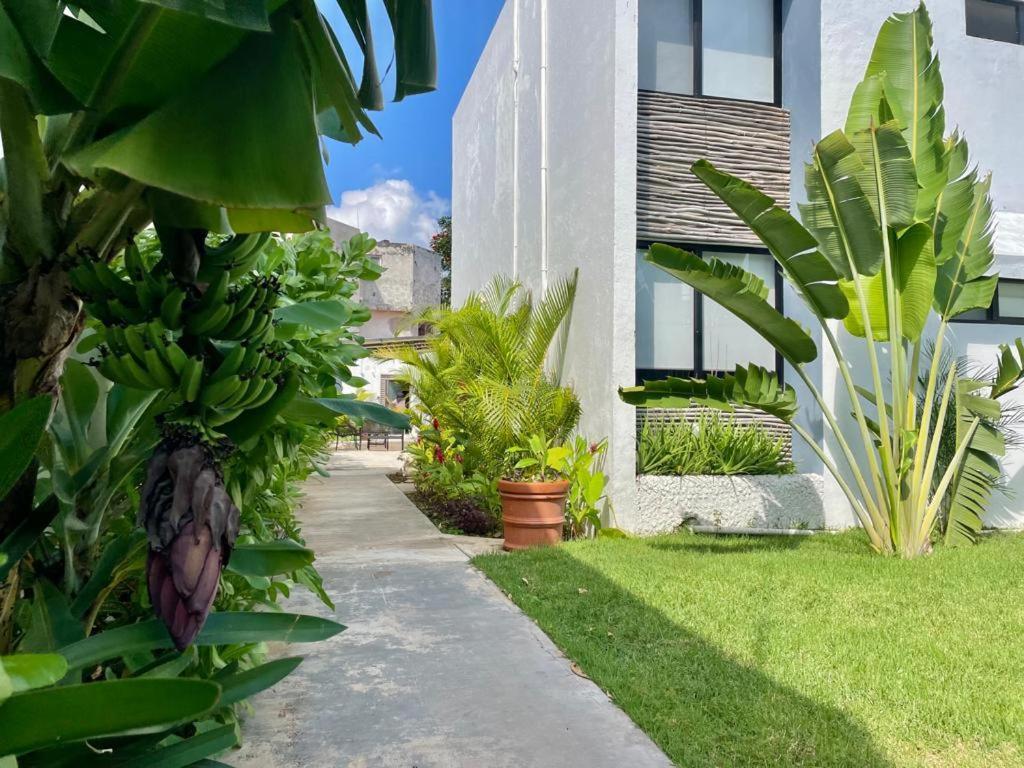 Aldeazul By Andiani Travel Apartment Cancun Bagian luar foto