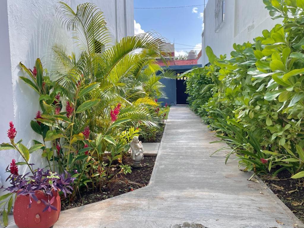 Aldeazul By Andiani Travel Apartment Cancun Bagian luar foto